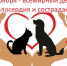 Поможем четвероногим друзьям вместе! - Галичский муниципальный район