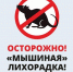 ГЕМОРРАГИЧЕСКАЯ ЛИХОРАДКА С ПОЧЕЧНЫМ СИНДРОМОМ (ГЛПС) И МЕРЫ ЕЕ ПРОФИЛАКТИКИ. - Город Галич
