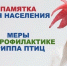 Памятка для населения ВЫСОКОПАТОГЕННЫЙ ГРИПП ПТИЦ - Город Галич