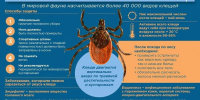 Профилактика клещевого боррелиоза - Город Галич